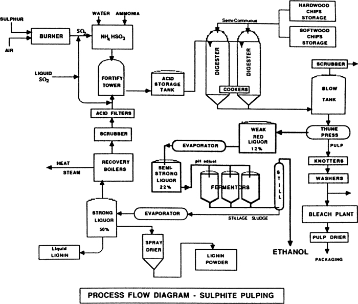 sulfite pulping