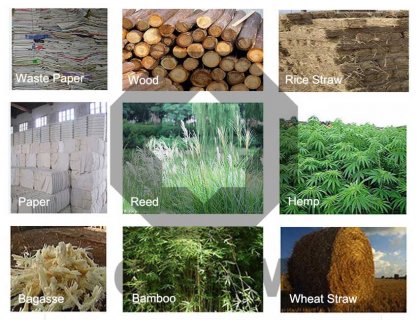The Raw Materials of Pulping: A Guide for the Paper Industry
