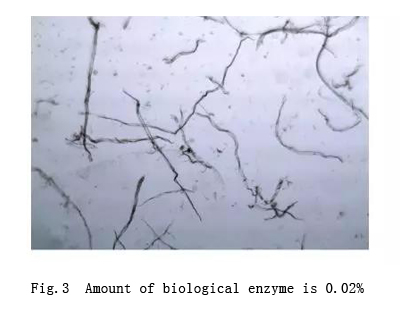 biological enzyme amount is 0.02