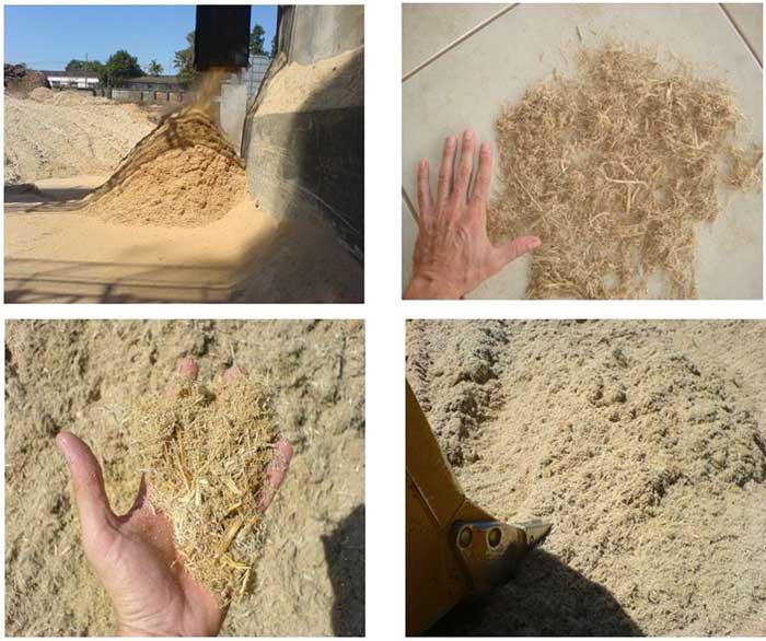 bagasse pulping