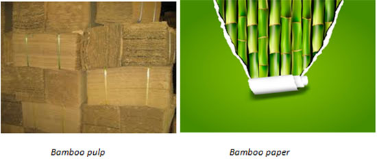 bamboo pulp