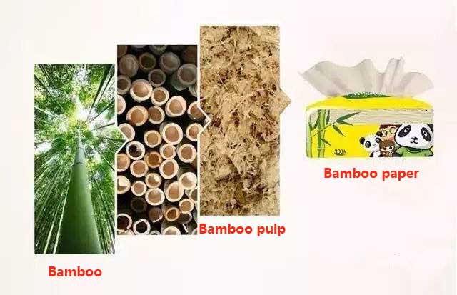 Pulp And Paper Manufacturing Process | Steps In Papermaking Procedure