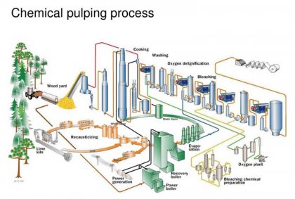 Different methods of pulping with bagasse raw material