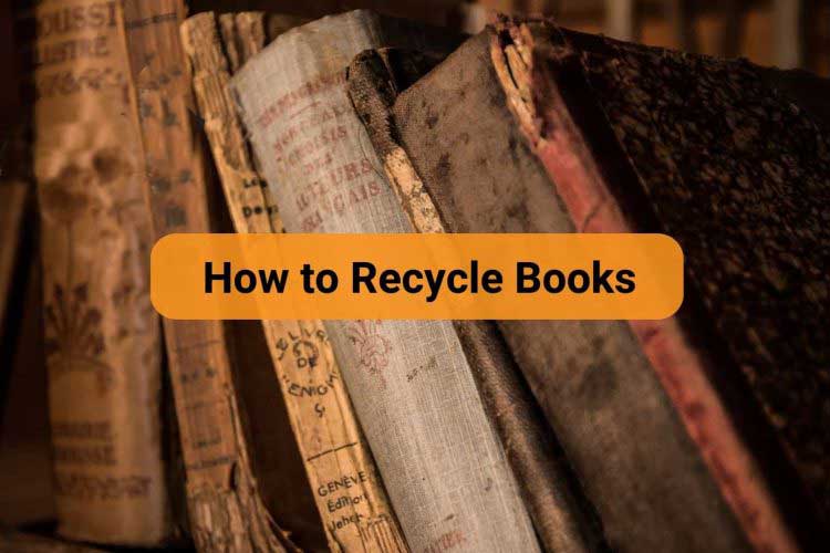 how to recycle books