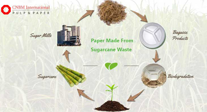 paper made from bagasse