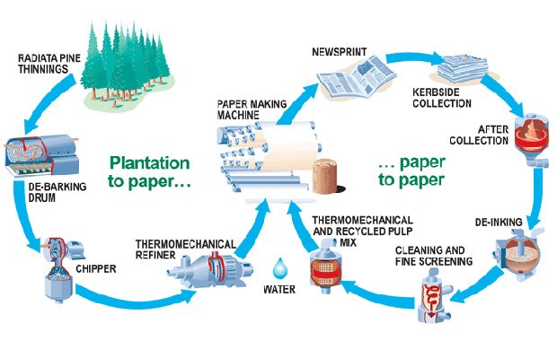 paper recycling diagram
