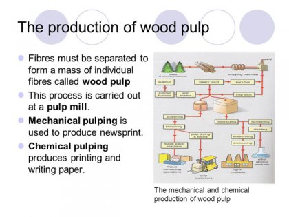 What is the type and process of pulp
