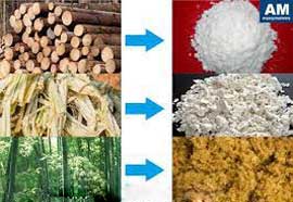raw materials of pulping