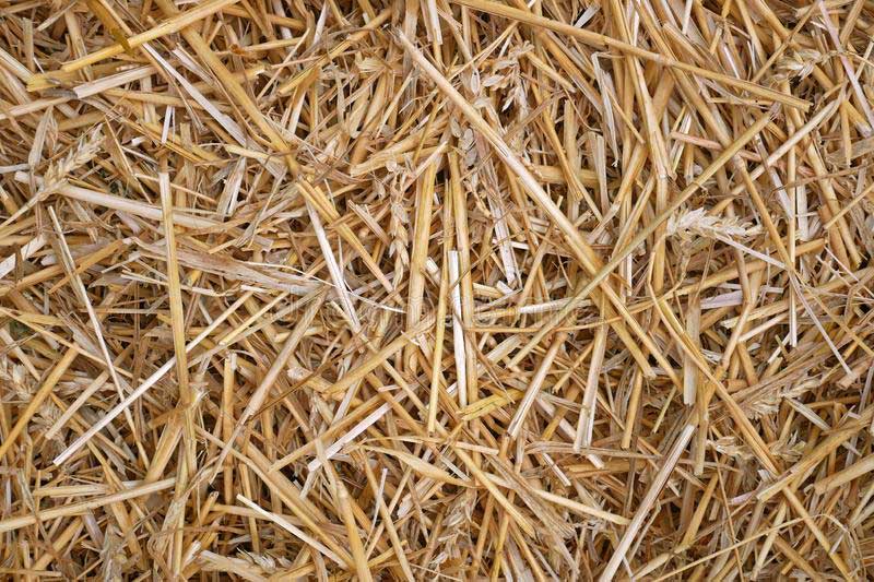 wheat straw