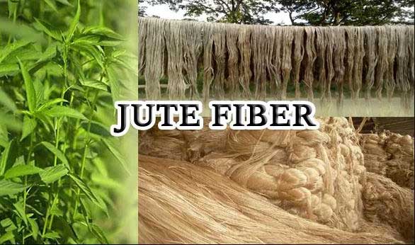 jute fiber