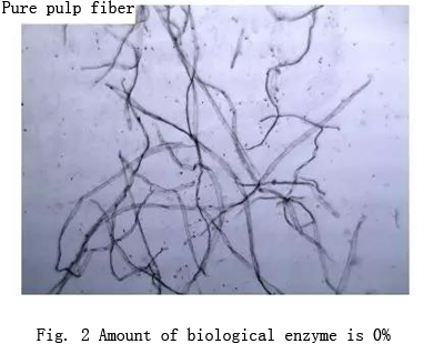 pure pulp fibers